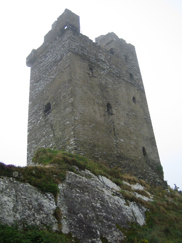 Castledonovan Castle, Co. Cork- what our tower house may have looked like in the pas