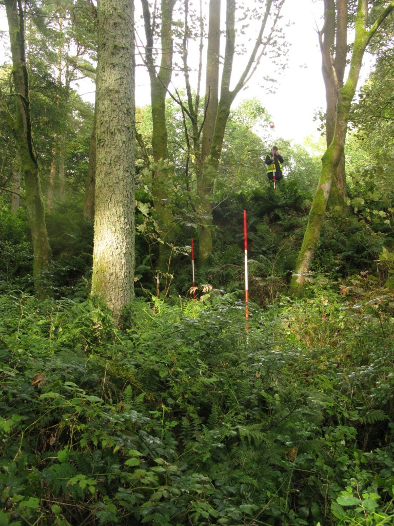 The challenging survey terrain at Moat Park motte.