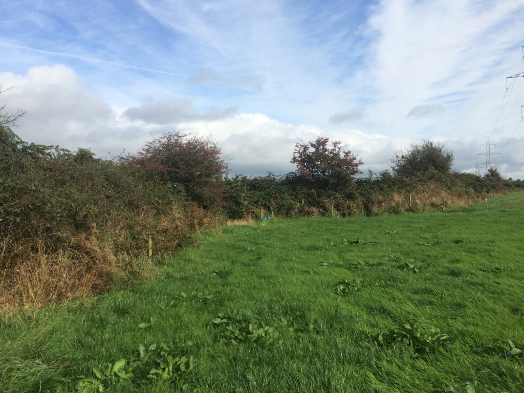 The site of the bomb factory in Ballynanelagh townland, looking ENE at the 'kink' in the townland boundary.