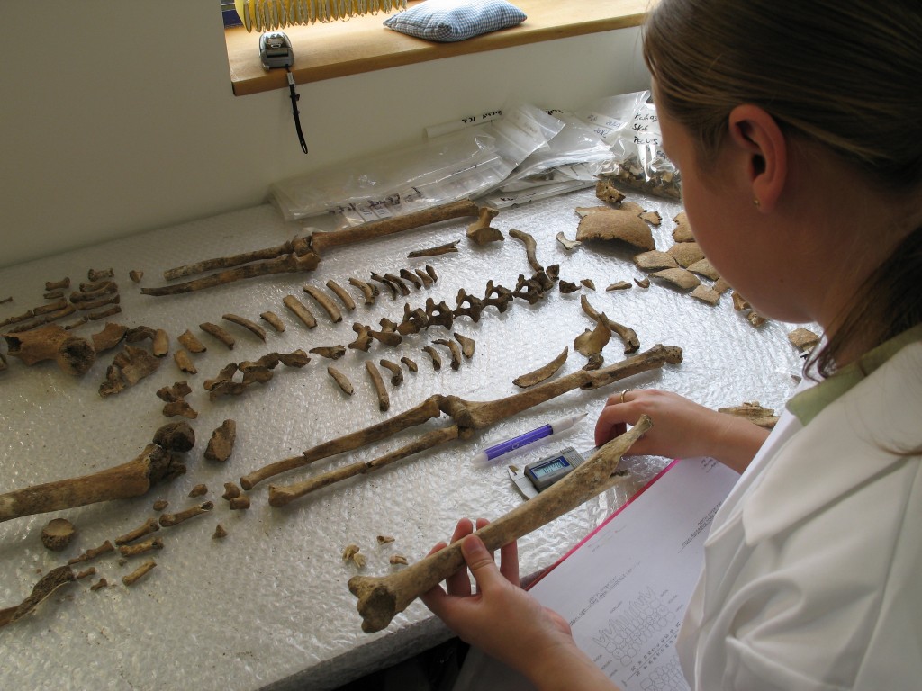 Skeletal remains undergoing analysis at the Rubicon offices