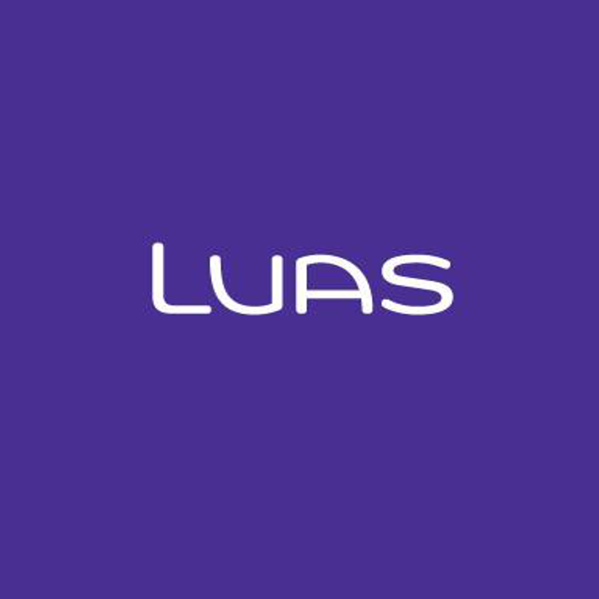 Rubicon Appointed Archaeologists for Luas Cross City Scheme