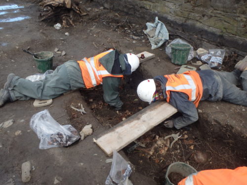 Read more about the article Richmond Penitentiary Cholera Cemetery Excavation, Grangegorman, Dublin.